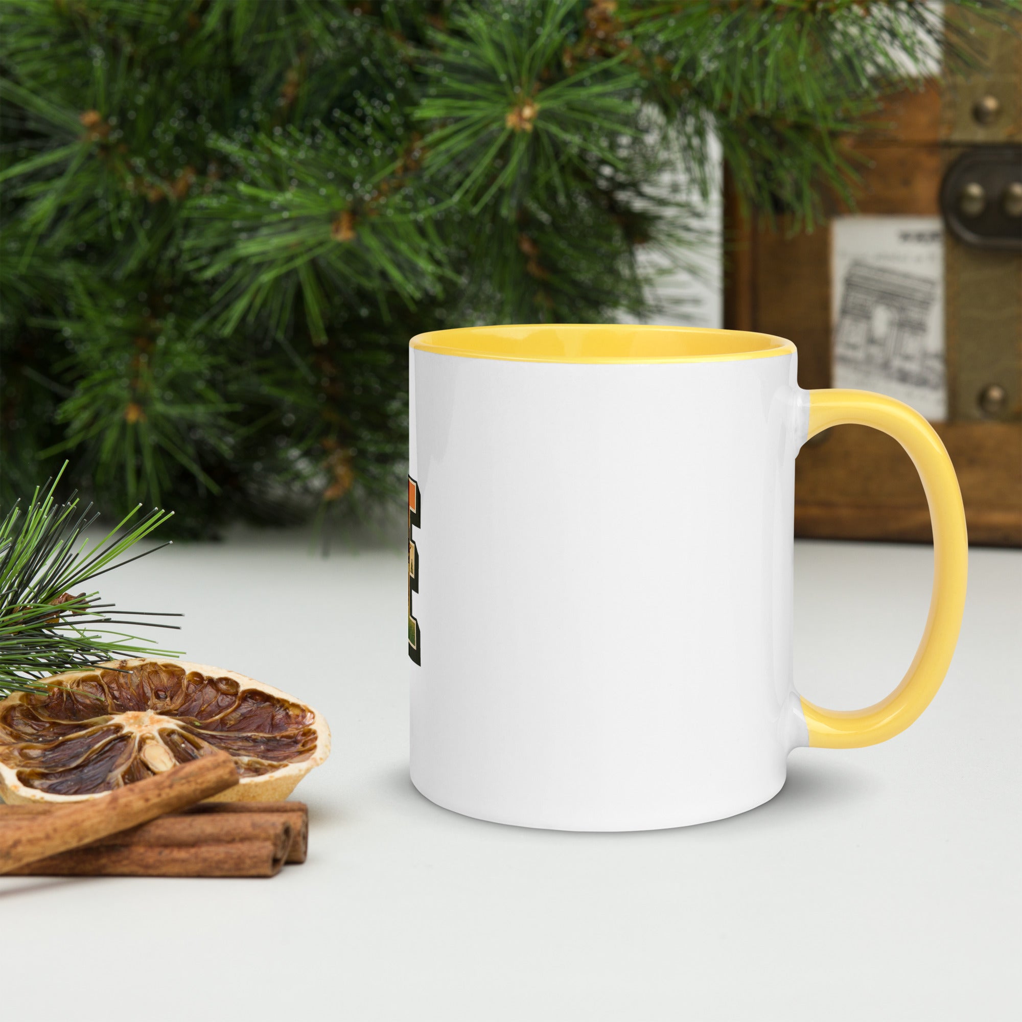 Upstate Mug - FLX Tee Co